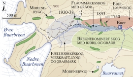 Kart over morenerygger og skogstypar i Buardalen. 