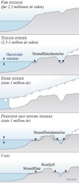 Prinsippskisse for dannelsen av strandflaten gjennom perioder med større eller mindre isutbredelse, de siste 2,5 millioner årene.
