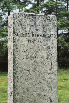 Minnestein på koleragravstaden på Møvik, Fjell