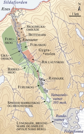 Vegetasjonskart over Ænesdalen. 
