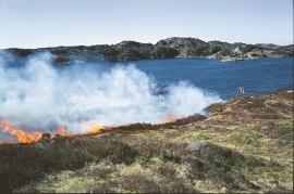 Lyngbrenning på Lygra med botanikar Mons Kvamme som brannmeister