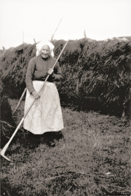 Anna Olsdatter Husebø (1849–1932) i slåtten på Husebø