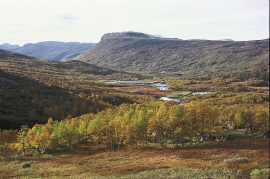 The mountainside in Sysendalen