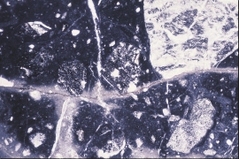 Ground up bedrock in the Valen Fault, seen under a microscope.