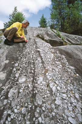 Geologist William Helland-Hansen examining a quartz conglomerate in the Ulven Syncline on one of the hills by the north west end of Lake Ulvenvatnet.