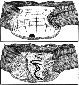 Sketch showing the process of formation of an esker.