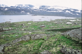  From the slopes above Nordrenut. Finsevatnet Lake and Hardangerjøkulen in the background.
